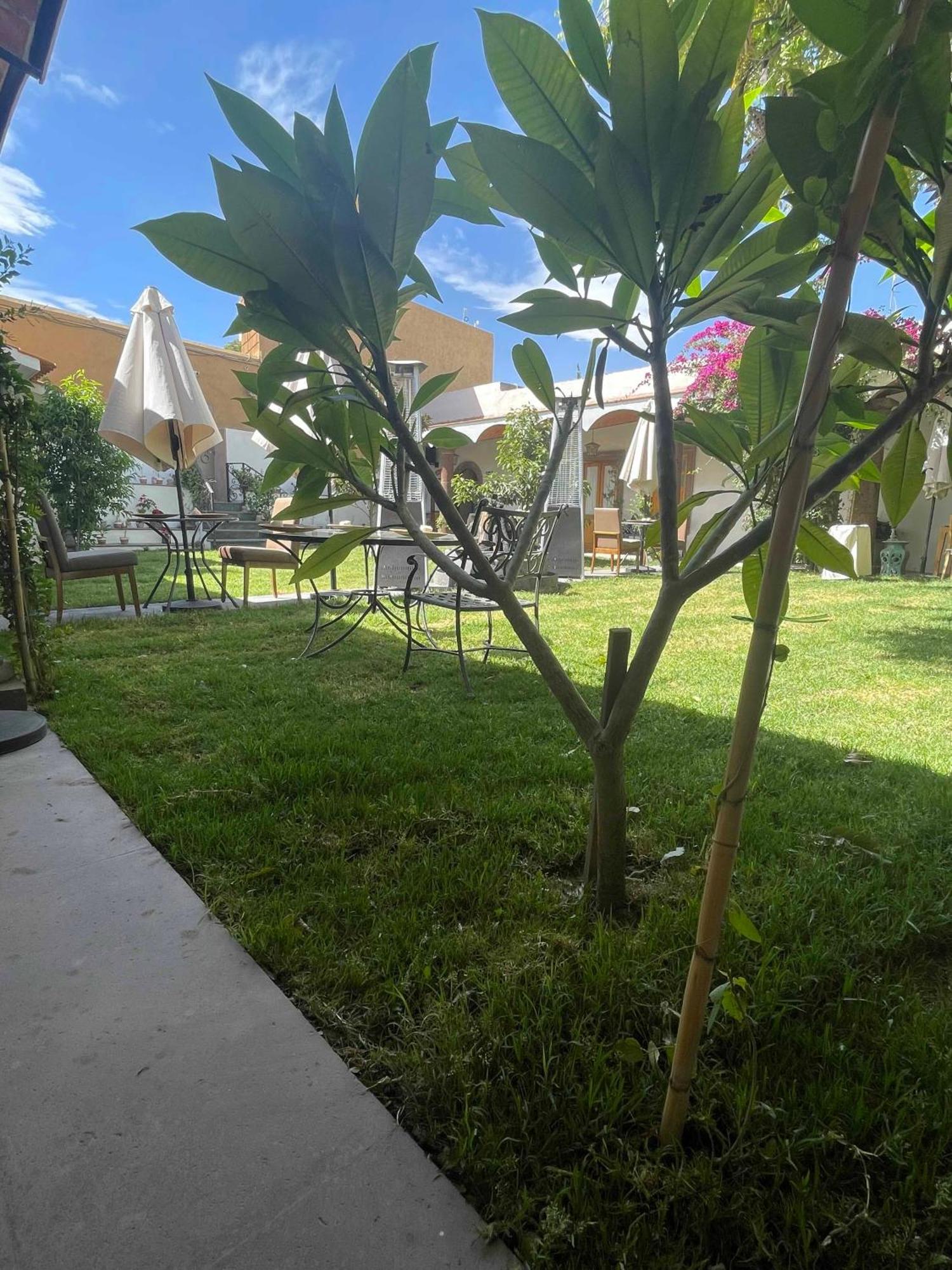 Hotel Casona El Calvario Huichapan Bagian luar foto